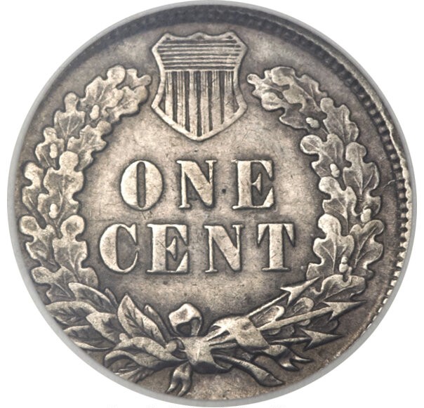 1891 Indian Head Penny wrong planchet error showing unusual metal color compared to normal bronze example